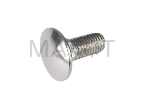 Śruba zamkowa M10x25 nierdzewna